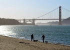 crissy field